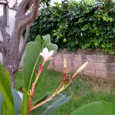 Casa Caracoles *