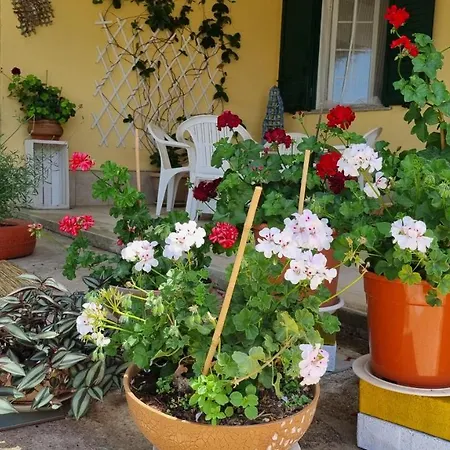 Casa Caracoles *